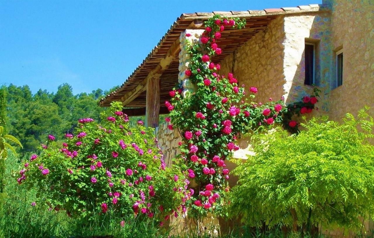 Le Mas Serenite Ansouis Exterior photo